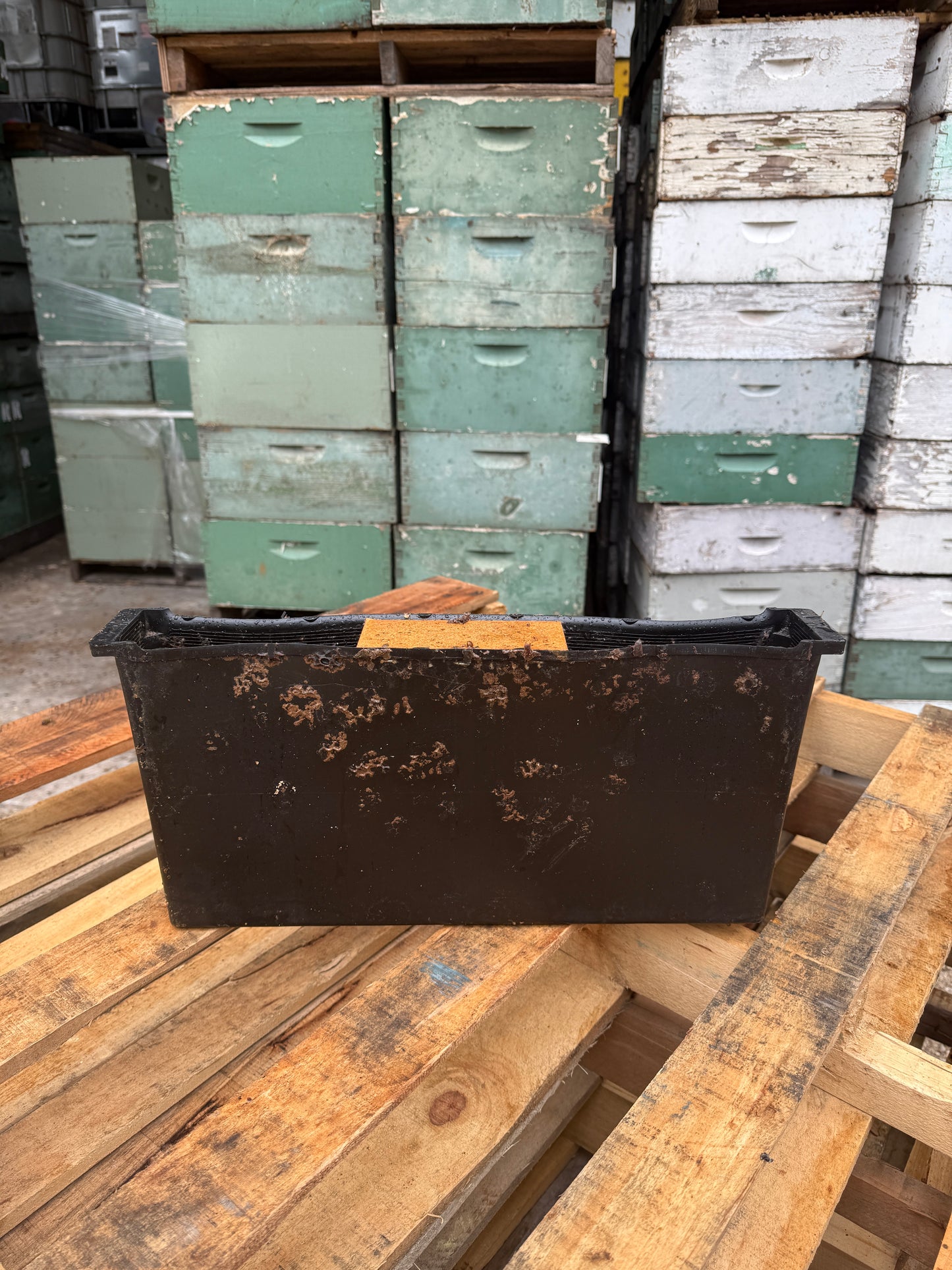 Used 1.5 Gallon In Hive Feeders