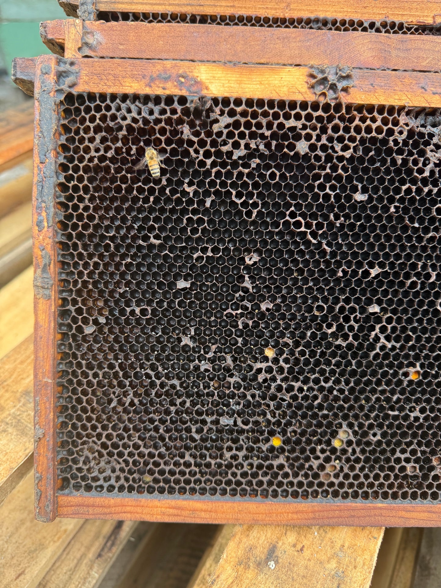 Used Deep Frames – Drawn Dark Brood Comb