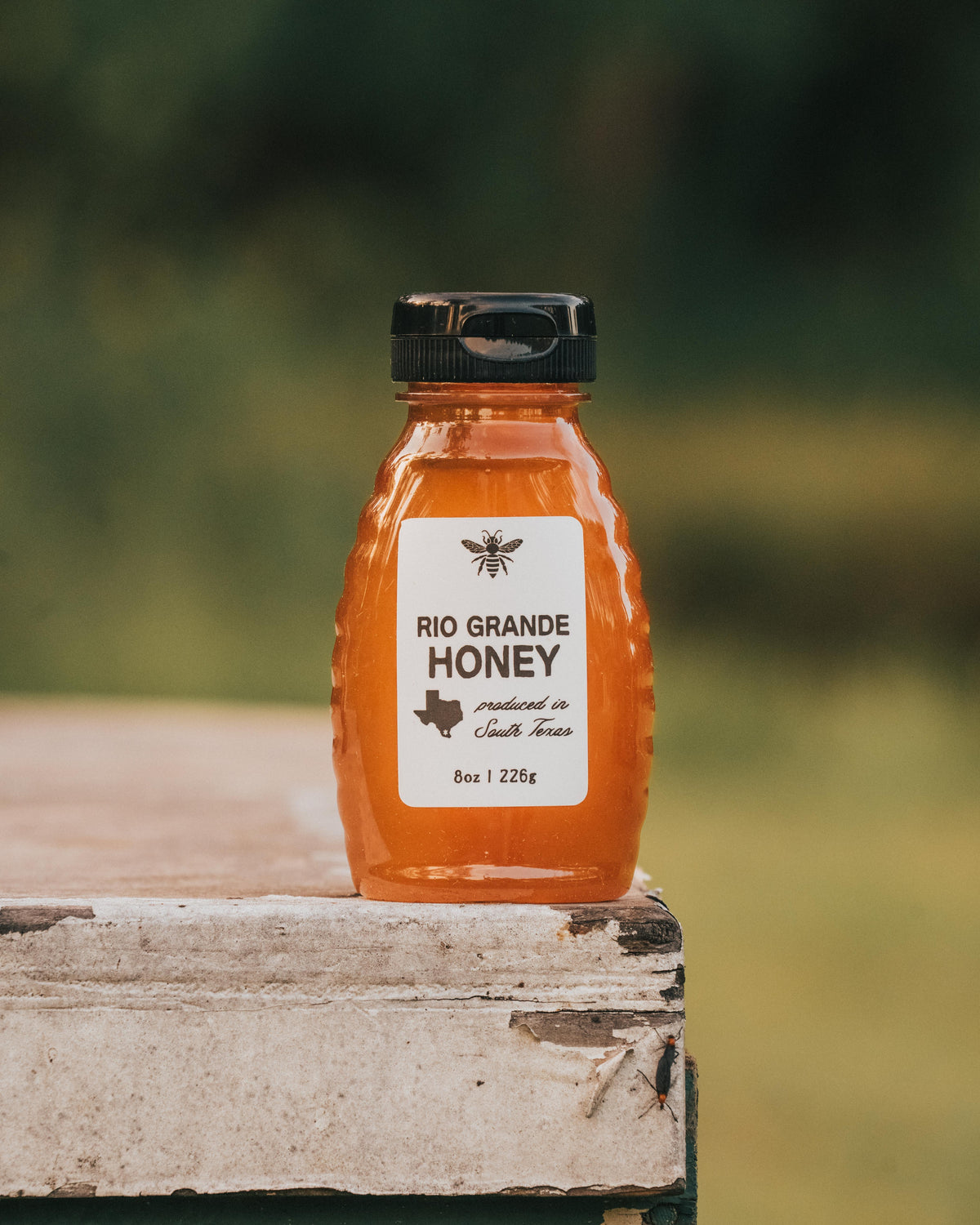 South Texas Rio Grande Honey 8oz