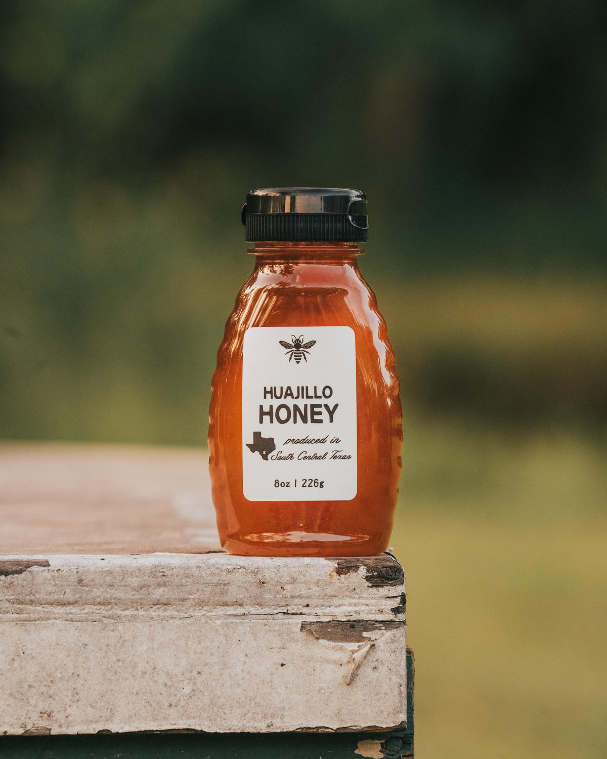 South Texas Huajillo Honey 8oz