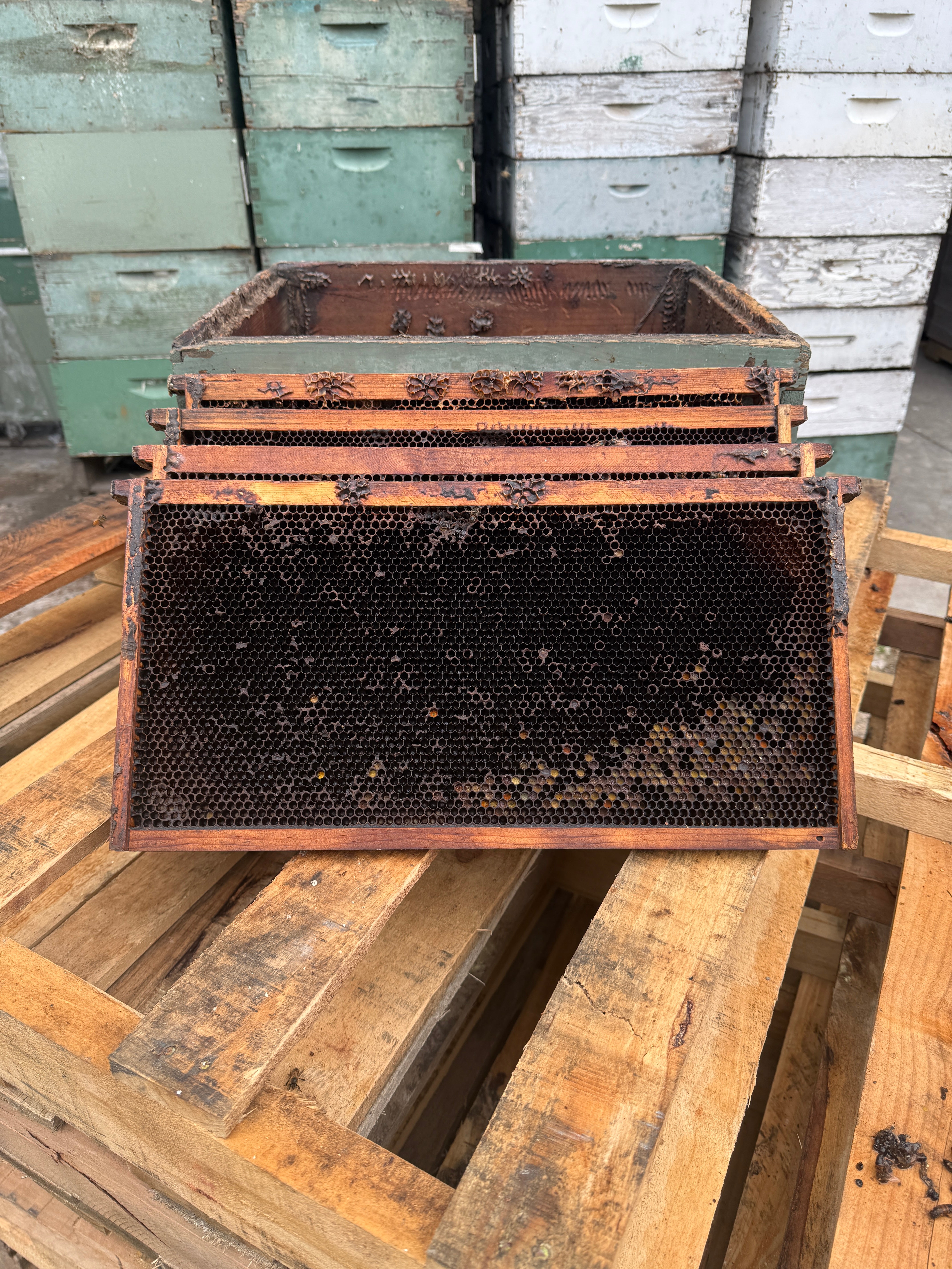Used Deep Frames – Drawn Dark Brood Comb – Moore Honey