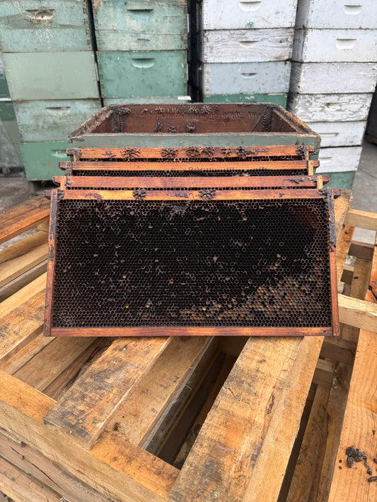 Used Deep Frames – Drawn Dark Brood Comb